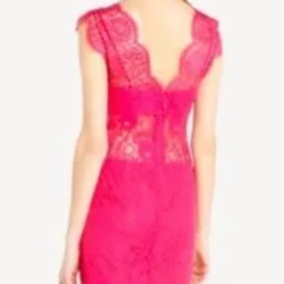 BCBG Maxazria devon begonia lace cocktail dress Sz4 - Picture 9 of 9